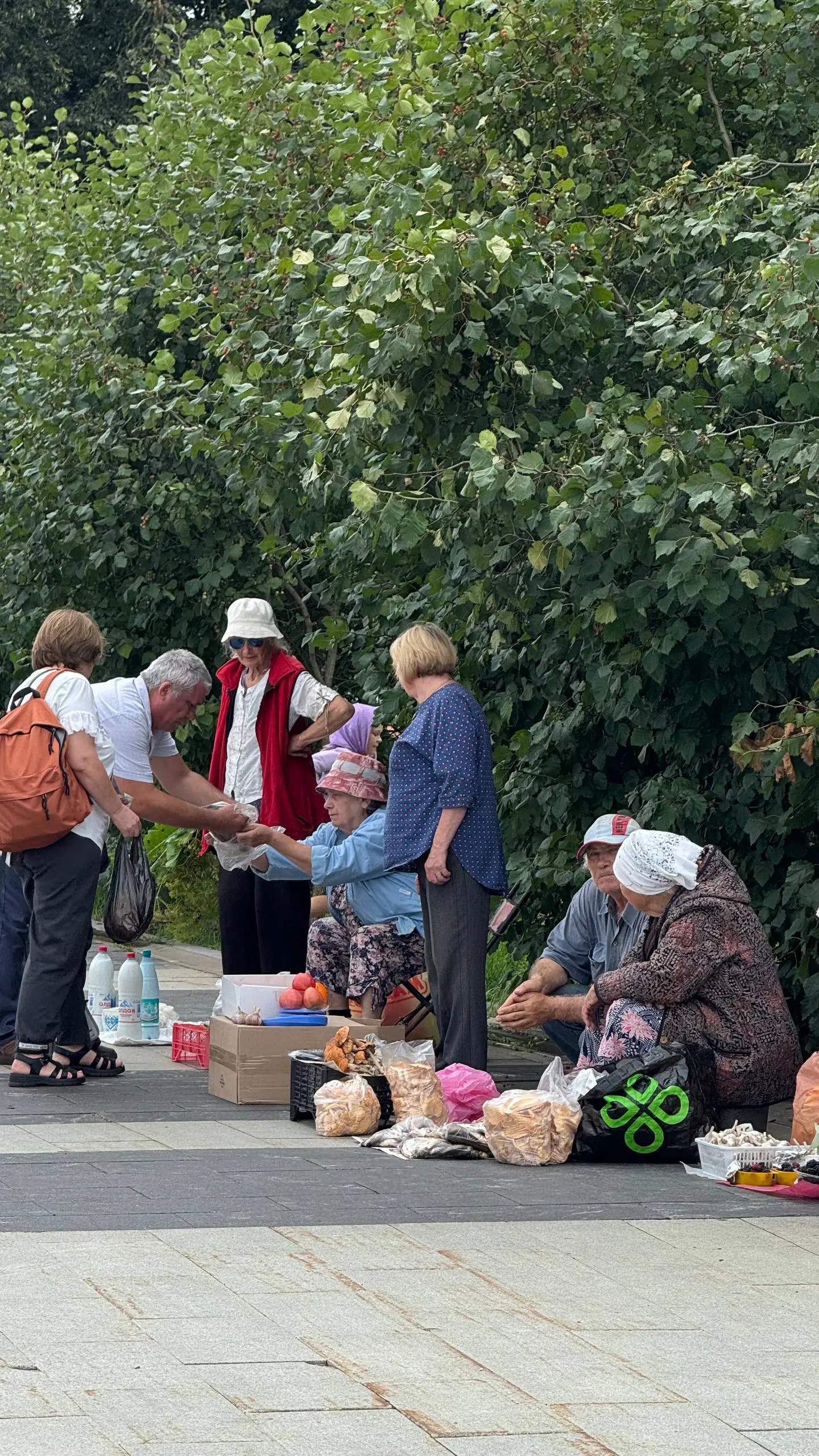 📍Зарайск вас через меня приглашает насладиться летом! | Сетка — социальная сеть от hh.ru