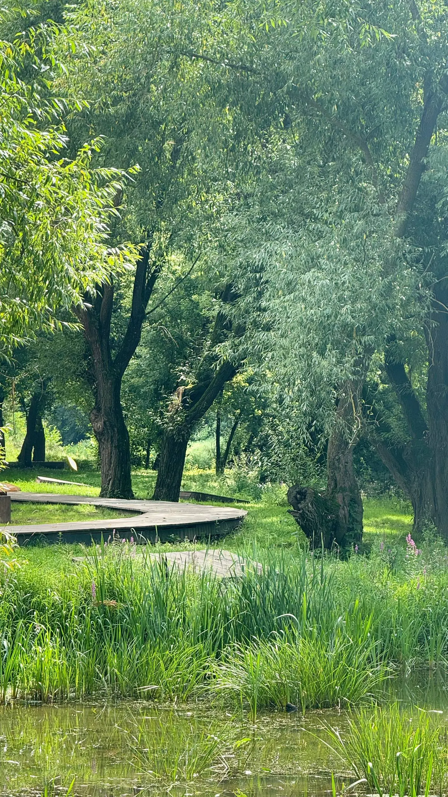 📍Зарайск вас через меня приглашает насладиться летом! | Сетка — социальная сеть от hh.ru