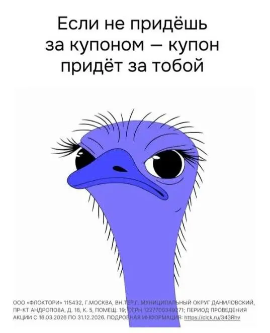 С купонами и со страусами шутки плохи.
#нутакое | Сетка — социальная сеть от hh.ru
