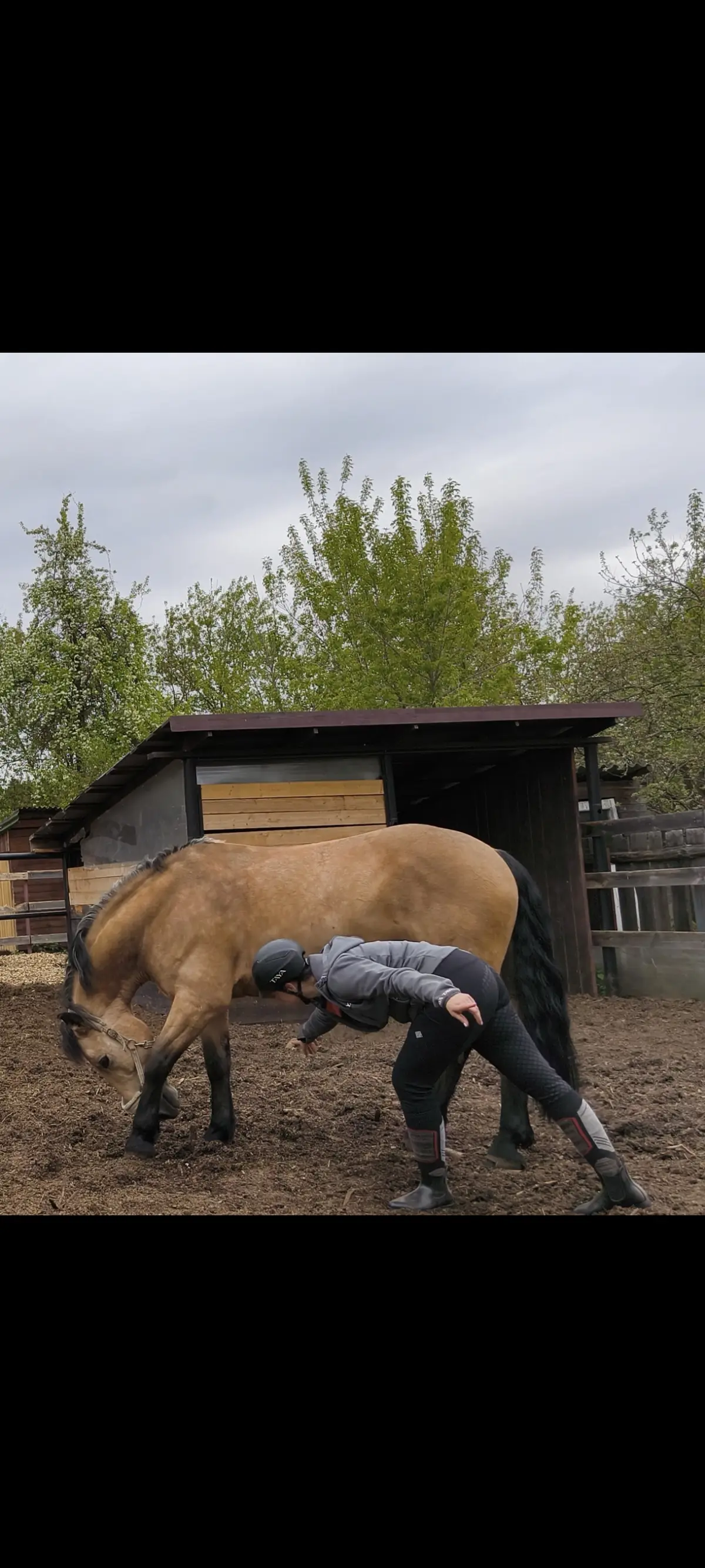 🐎 Мотивация: от морковки к дружбе. | Сетка — социальная сеть от hh.ru
