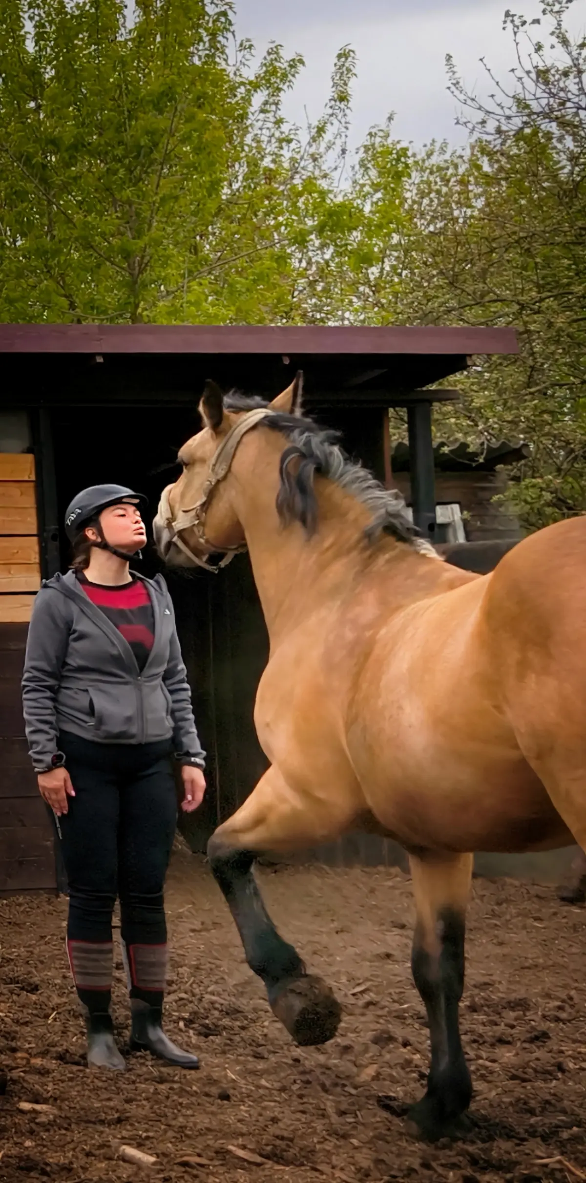 🐎 Мотивация: от морковки к дружбе. | Сетка — социальная сеть от hh.ru