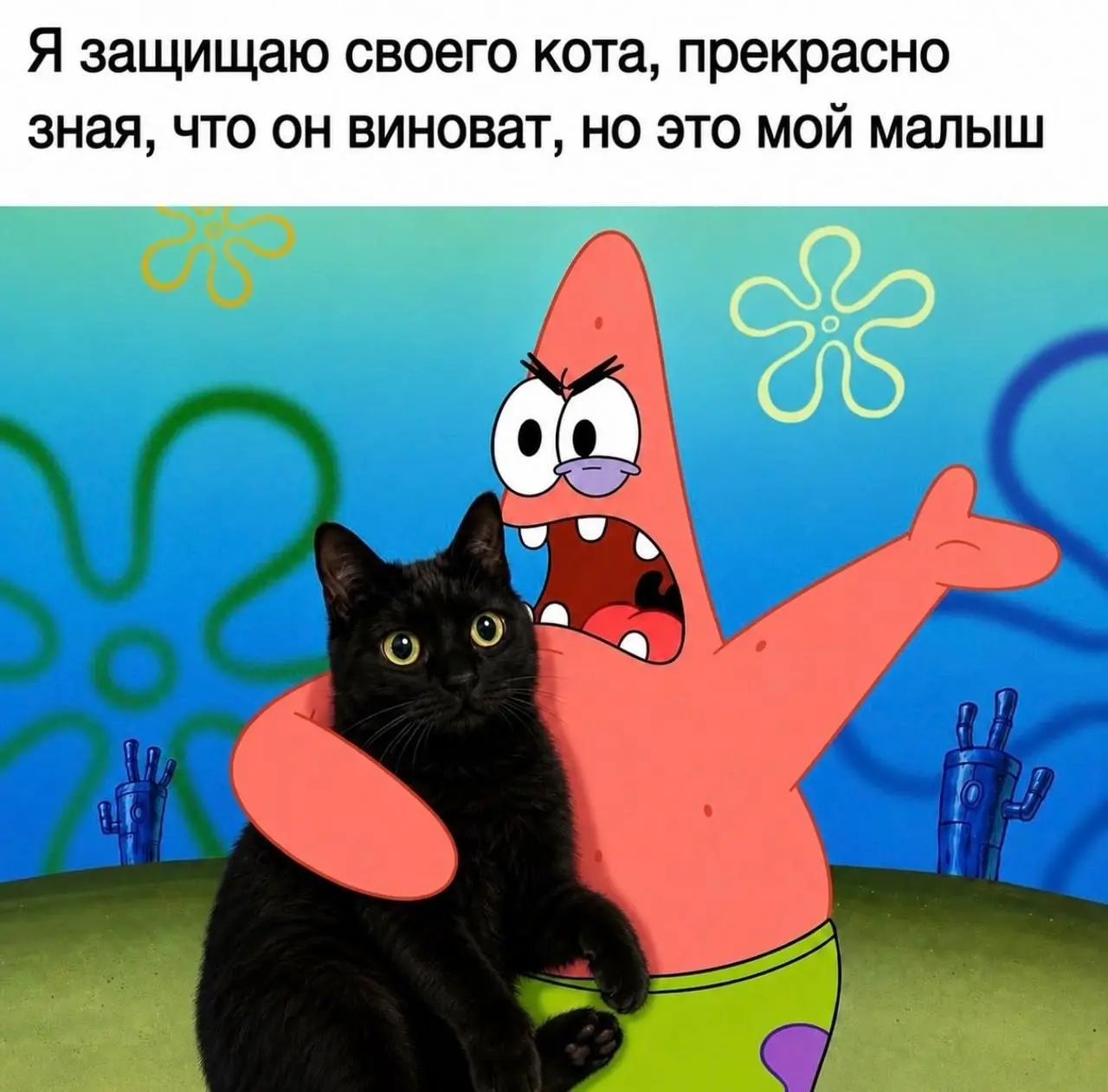 Кто посмел 😂
БЛОГ В ТГ / БЛОГ В MAX
#Юмор #Коты
В этом посте были ссылки, но мы их удалили по правилам Сетки | Сетка — социальная сеть от hh.ru