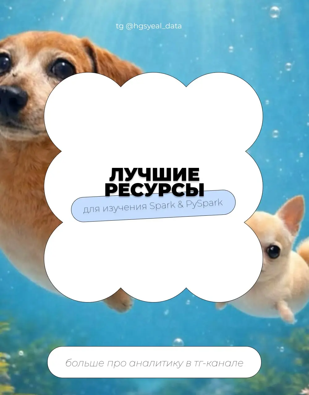 🤨 Лучшие ресурсы для изучения Spark & PySpark | Сетка — социальная сеть от hh.ru
