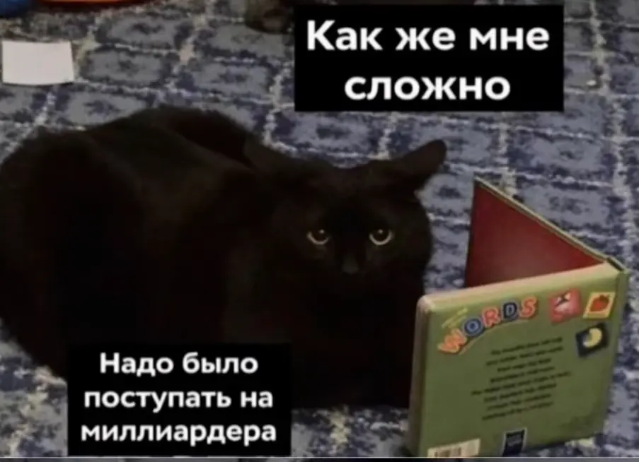 Когда «загугли» воспринимаешь буквально | Сетка — социальная сеть от hh.ru