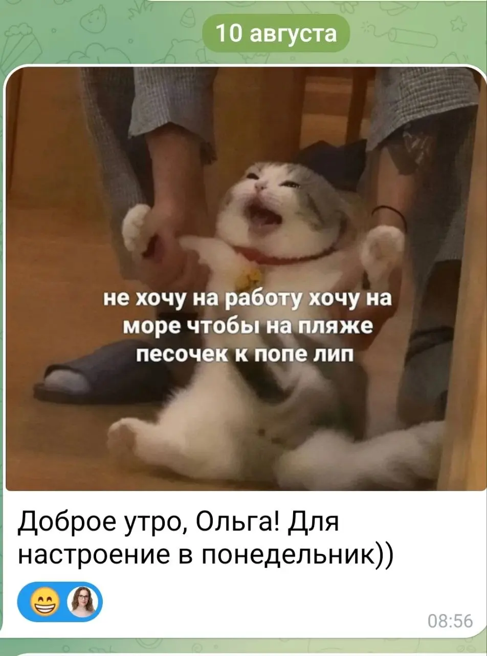 От любимого клиента Елены в понедельник 😎
#Коты #Юмор | Сетка — социальная сеть от hh.ru