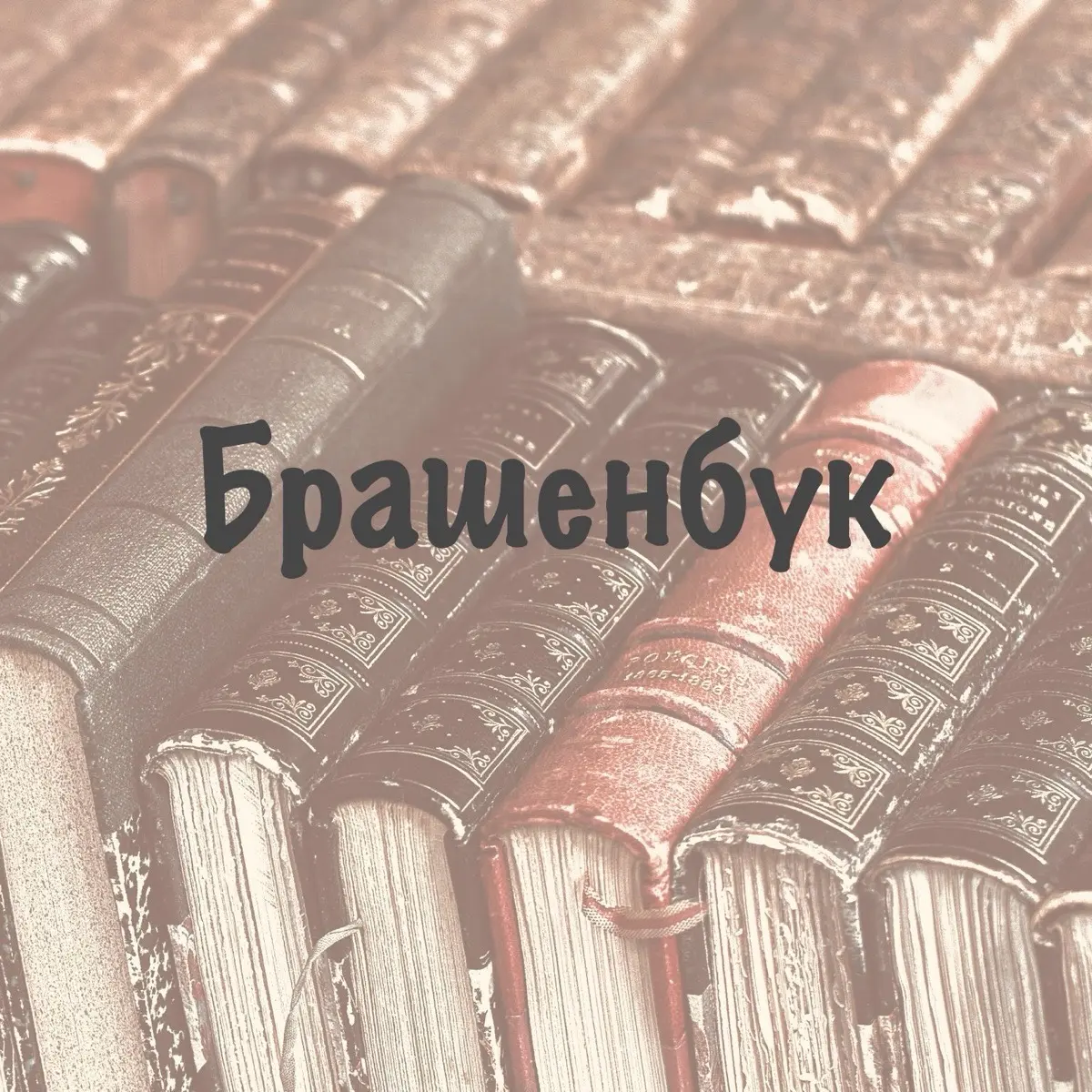 Брашенбук