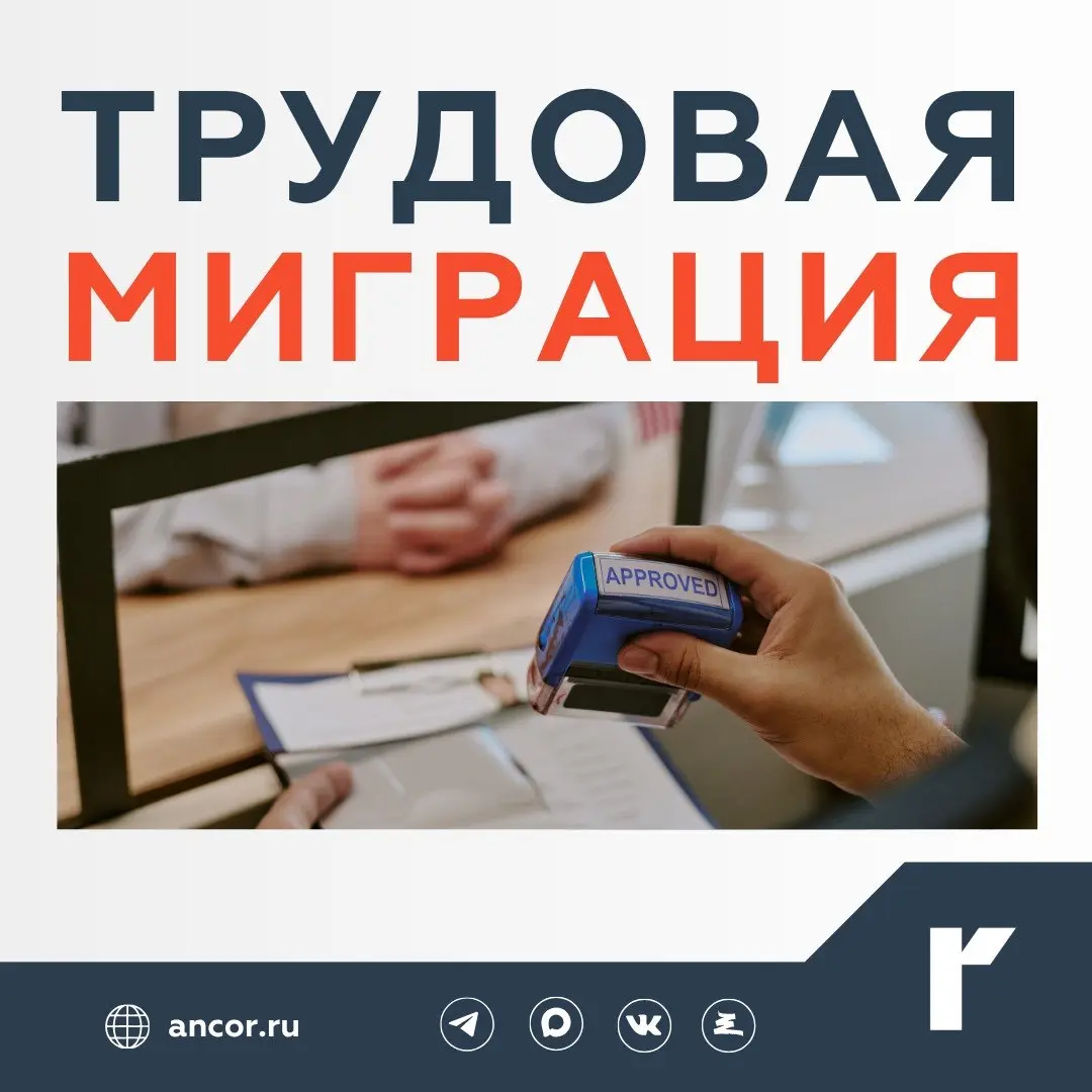 🛂 Рабочая виза против безвиза
По данным федеральной статистики в I полугодии 2026 число патентов снизилось почти на 21%, до 1,1 млн | Сетка — социальная сеть от hh.ru