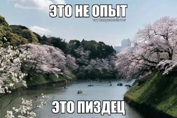 Бывает спрашивают “почему ушли с прошлого места” и человек начинает рассказывать историю на 10 минут с предысторией компании, конфликтом с начальником и моральным выбором и вдобавок про беременную жен... | Сетка — социальная сеть от hh.ru