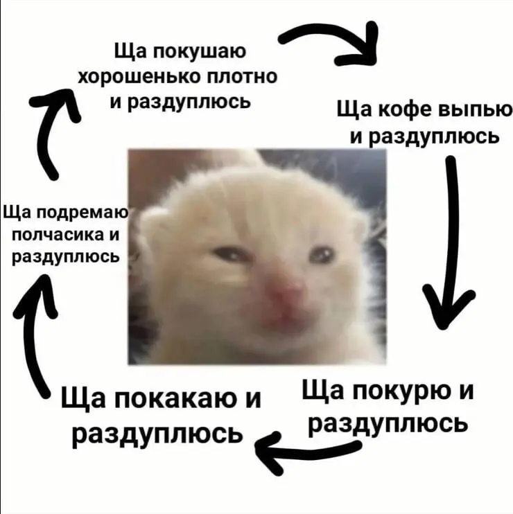 Всех с понедельником | Сетка — социальная сеть от hh.ru
