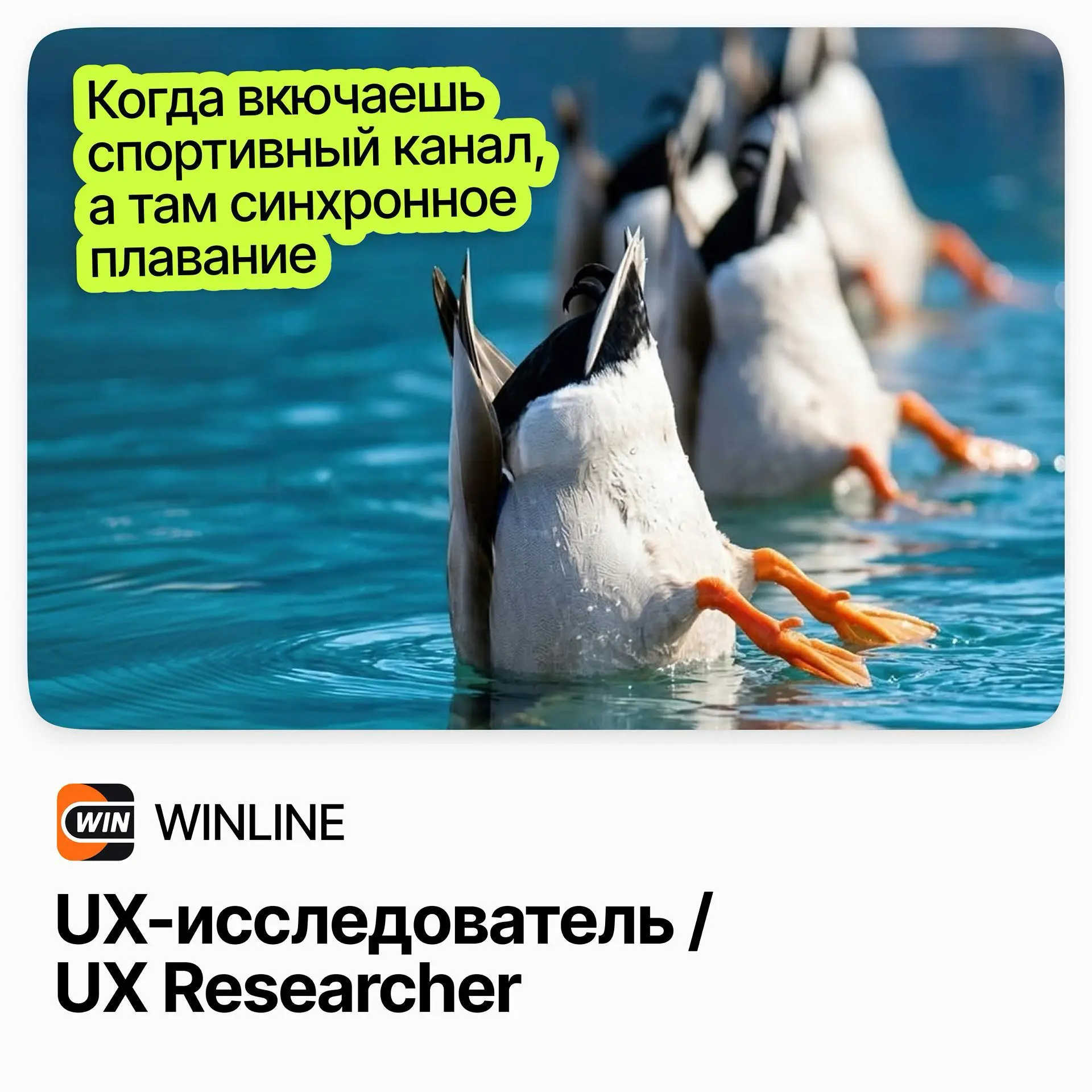 🔍 UX-исследователь / WINLINE
WINLINE — одна из ведущих букмекерских компаний России, формирующая стандарты индустрии | Сетка — социальная сеть от hh.ru