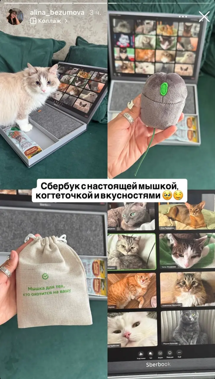 Мышки для тех, кто охотится на ваши 🐭
Хорошенький маленький проект сделался в продолжение Дня собак | Сетка — социальная сеть от hh.ru