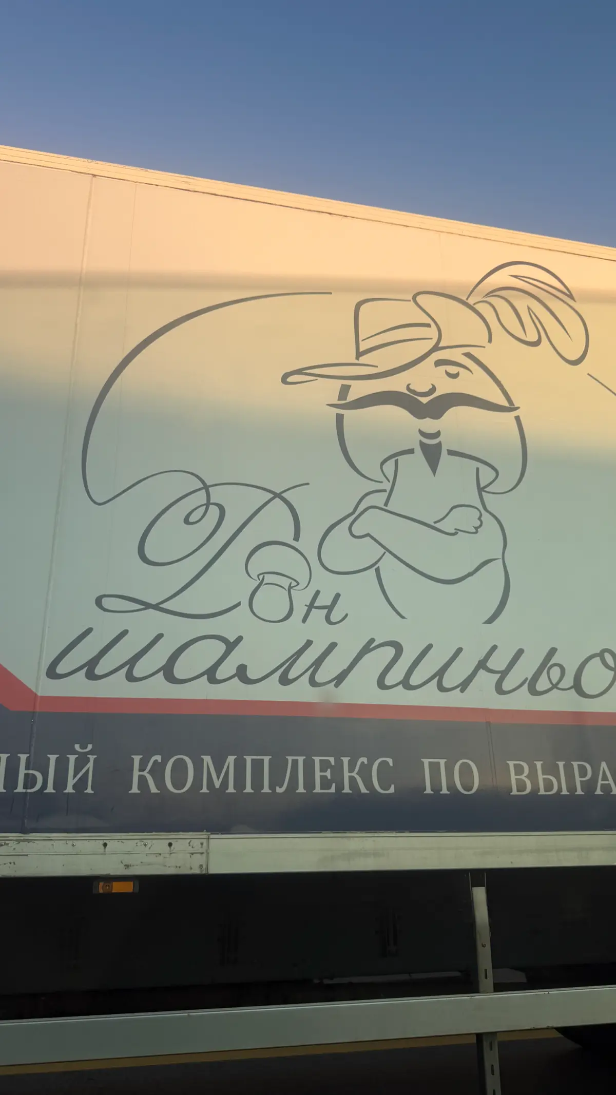 Как бренды проявляются на фестивалях | Сетка — социальная сеть от hh.ru