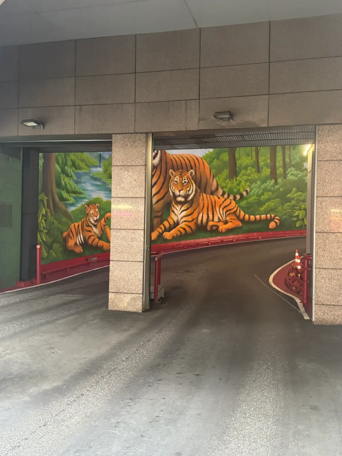 🐅🐅🐅 | Сетка — социальная сеть от hh.ru