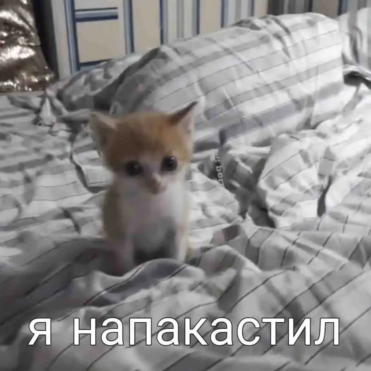 Валерия Каменева