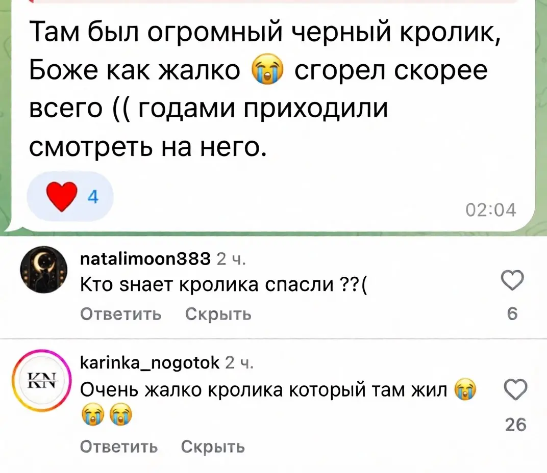 Люди переживают за кролика из "Галактики"
Ю | Сетка — социальная сеть от hh.ru