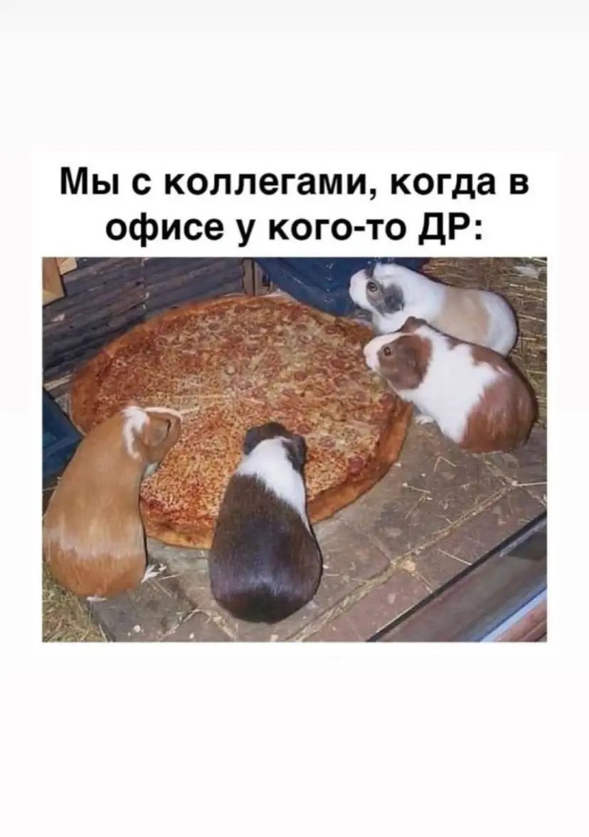 Самый первый мем в галерее | Сетка — социальная сеть от hh.ru