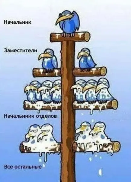 Недавно друг рассказал о своей знакомой – очень хорошем руководителе:
Команда ее настолько боится, что как только она заходит в кабинет – все притихают | Сетка — социальная сеть от hh.ru