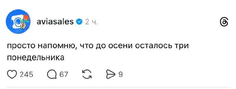 #wtf | Сетка — социальная сеть от hh.ru