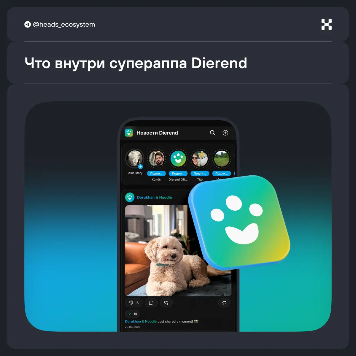🐈 Кейс Dierend | Сетка — социальная сеть от hh.ru