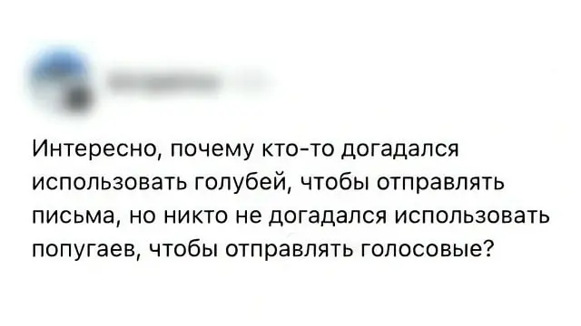 100% защиты от скуки. Активируй подписку 👀 | Сетка — социальная сеть от hh.ru