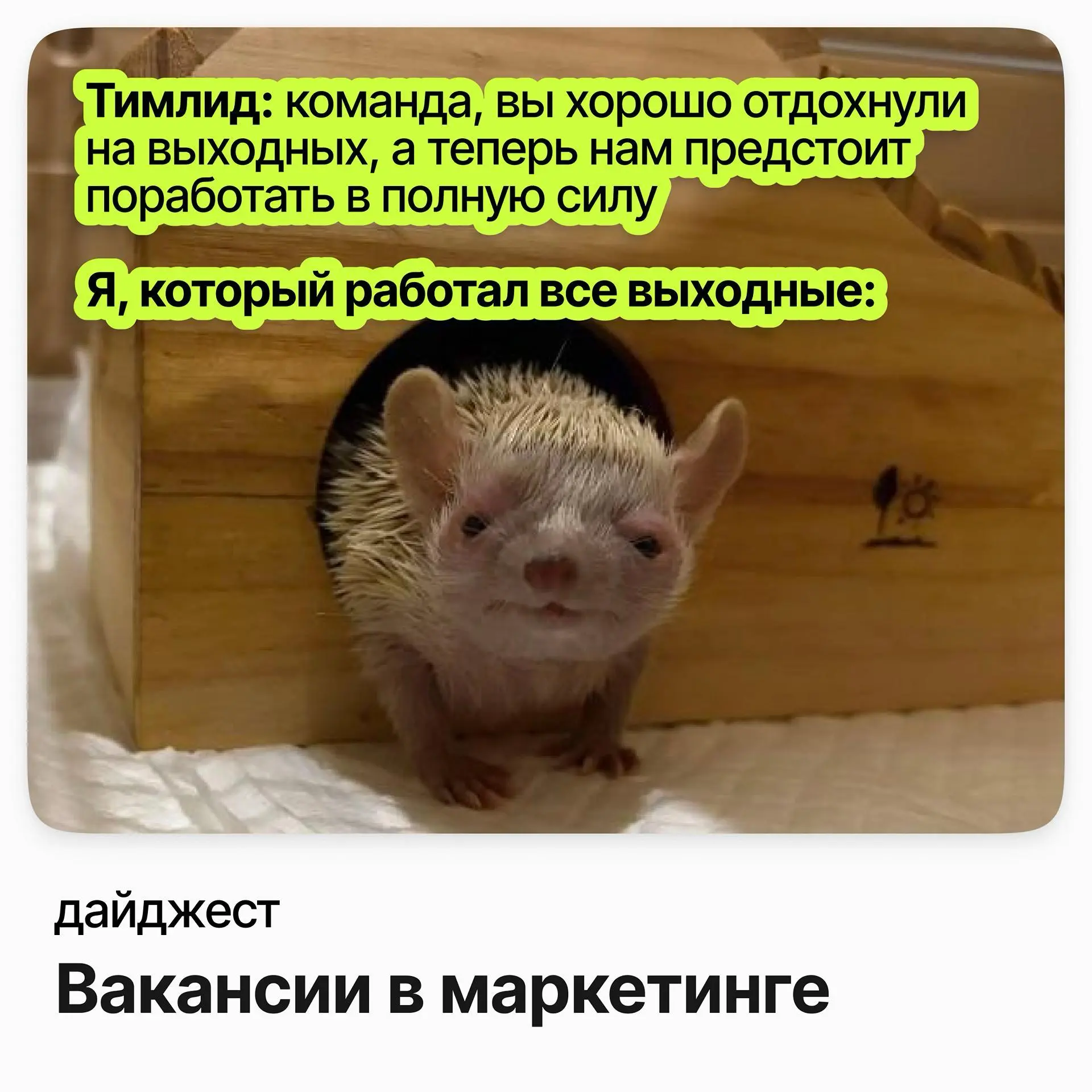 💼💼💼Вакансии в маркетинге
Руководитель отдела маркетинга («Пивное Подворье») / Dina market
Зарплата: до 391 000 ₽ /на руки
Подробнее
Head of Performance Marketing / Compleader (удалёнка)
Зарплата: от 2... | Сетка — социальная сеть от hh.ru