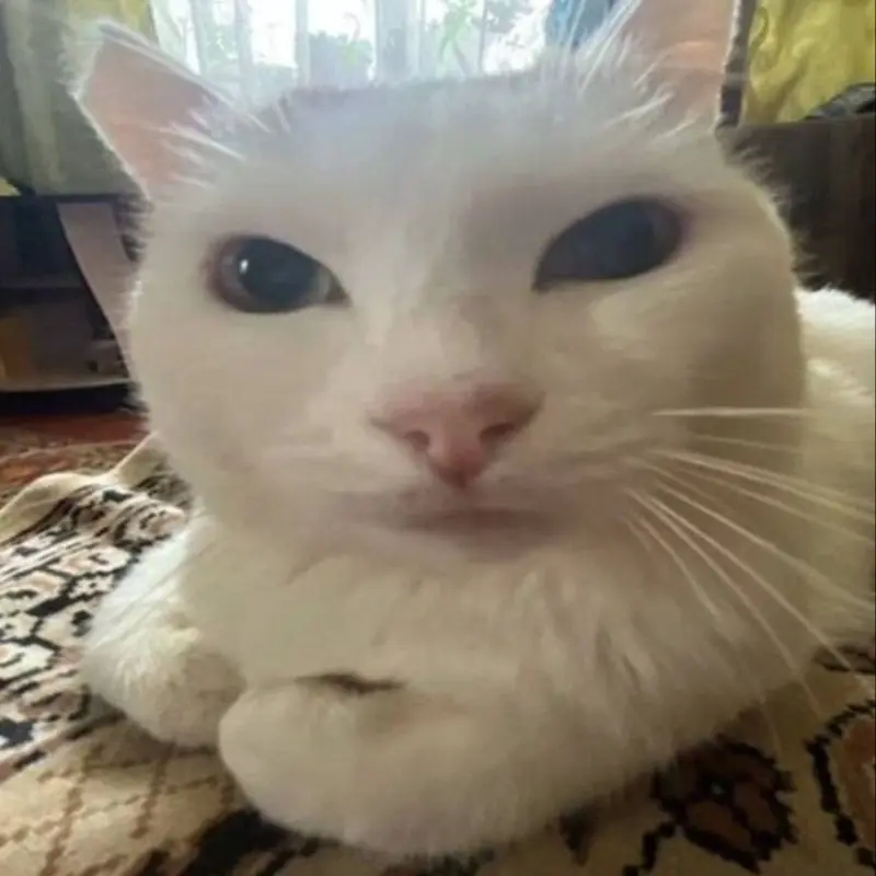 Глеб Мусихин