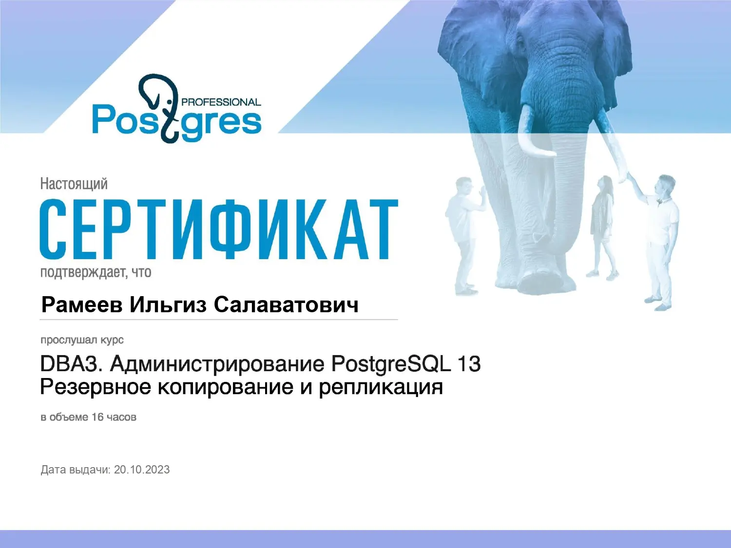 Network member avatar