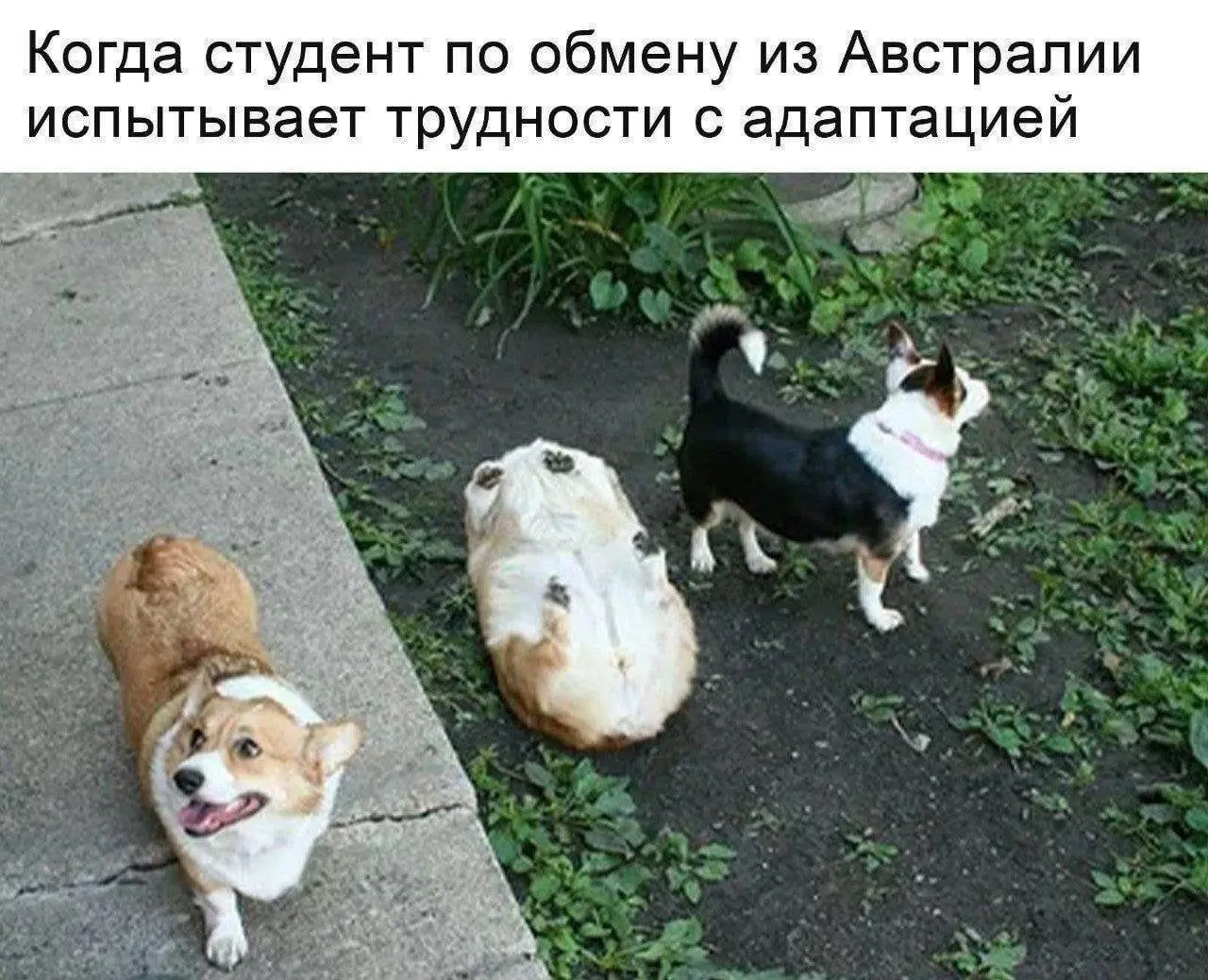 Почему мы так долго держим слабых сотрудников
Может, я недообъяснила? Может, неправильно поставила задачу? Может, я просто не очень хороший руководитель, раз не могу этого человека вырастить?
Человек ... | Сетка — социальная сеть от hh.ru