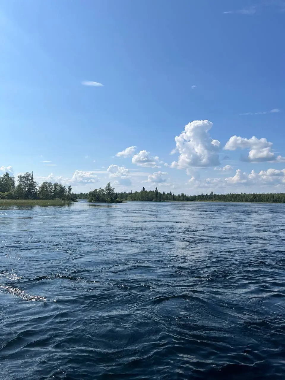 🧭 Две недели на Русском Севере!
Наконец-то появилась связь и можно прервать двухнедельное молчание. Две недели я провел в Мурманской области, на реке Умба и на Белом море | Сетка — социальная сеть от hh.ru