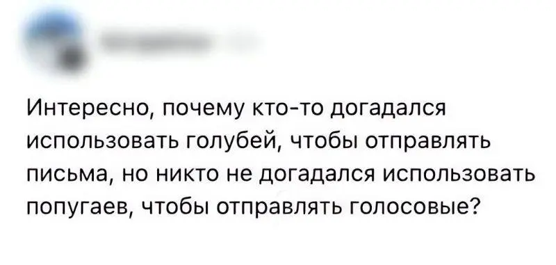 #insight | Сетка — социальная сеть от hh.ru