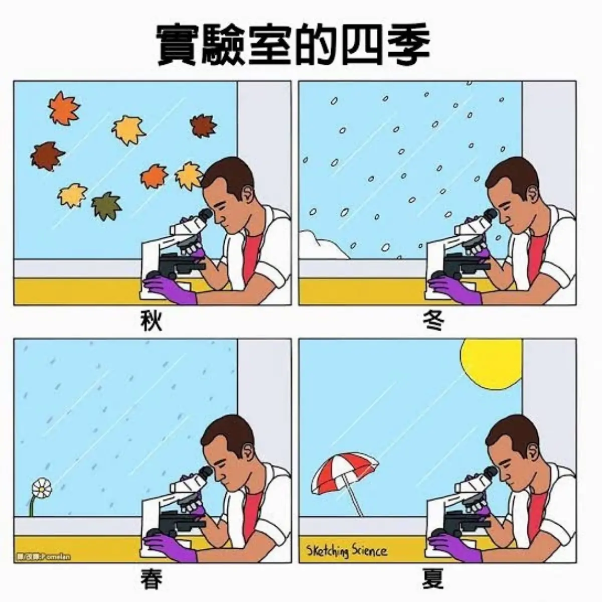 community avatar