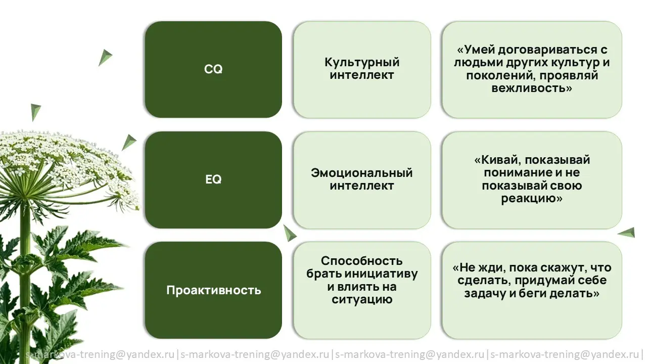 "Бизнес-борщевик" | Сетка — социальная сеть от hh.ru