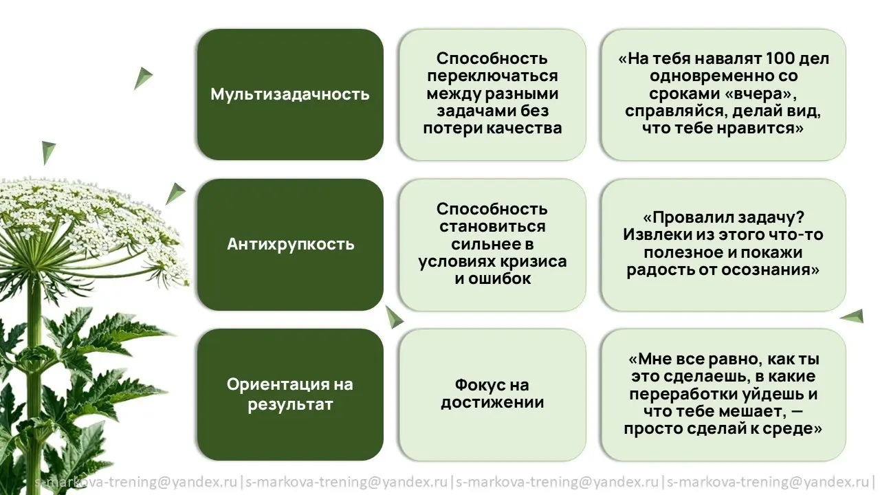 "Бизнес-борщевик" | Сетка — социальная сеть от hh.ru