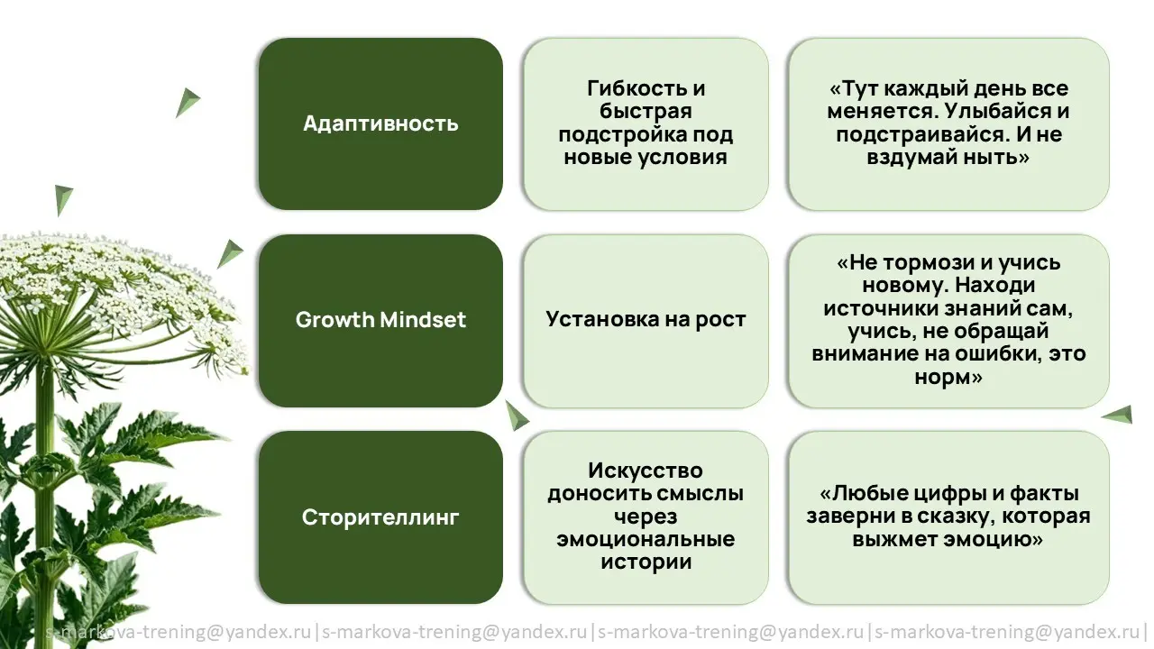 "Бизнес-борщевик" | Сетка — социальная сеть от hh.ru