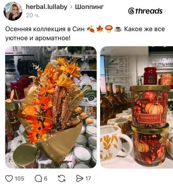 Соцсети в восторге от тыквенной коллекции товаров в СИН. Там появились горшочки в виде тыкв, свечи с ароматом тыквенного пирога, яблок с корицей и урожая, игрушки и букеты с максимально осенним вайбом | Сетка — социальная сеть от hh.ru