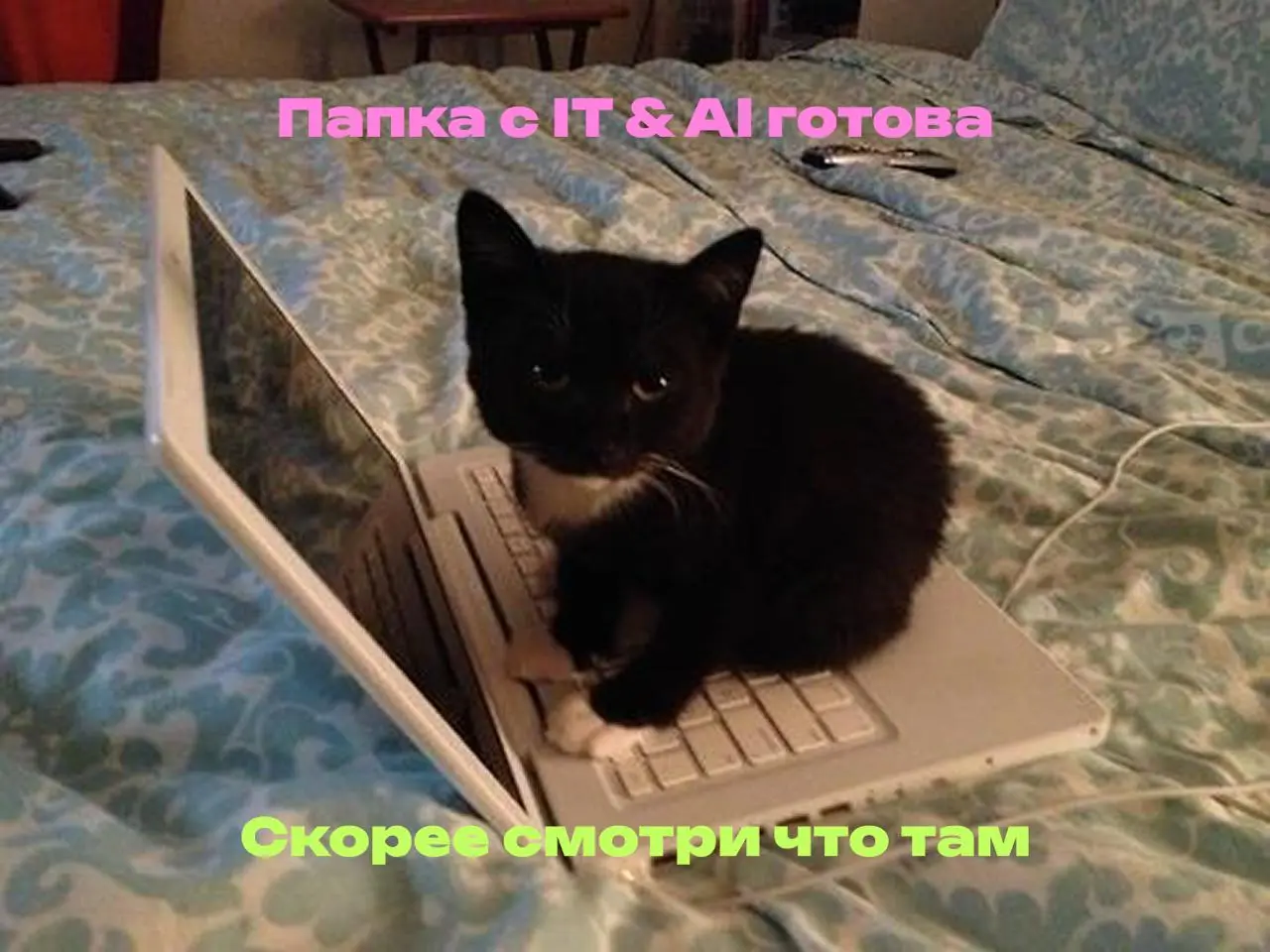 IT-кошка принесла кладесь знаний
IT & AI каналов много, но по-настоящему качественные медиа часто скрываются в потоках информации
К счастью мне удалось отискать кладесь знаний из сферы технологий
Внут... | Сетка — социальная сеть от hh.ru
