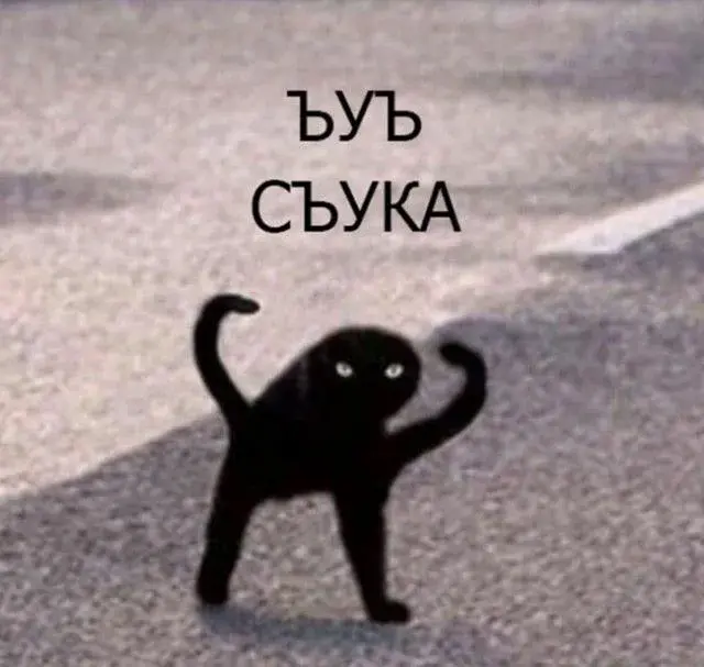 Весь ваш день. No comments😁 | Сетка — социальная сеть от hh.ru
