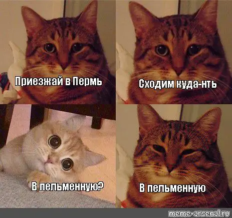 Миграция и Стадный инстинкт | Сетка — социальная сеть от hh.ru