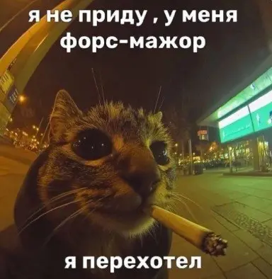 Тот самый кандидат.... | Сетка — социальная сеть от hh.ru