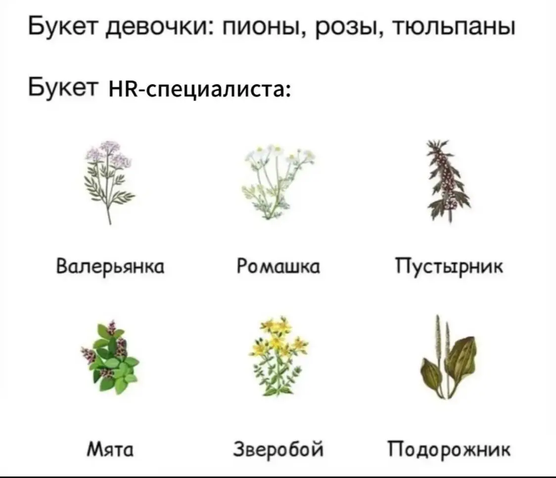 Мотивация | Сетка — социальная сеть от hh.ru