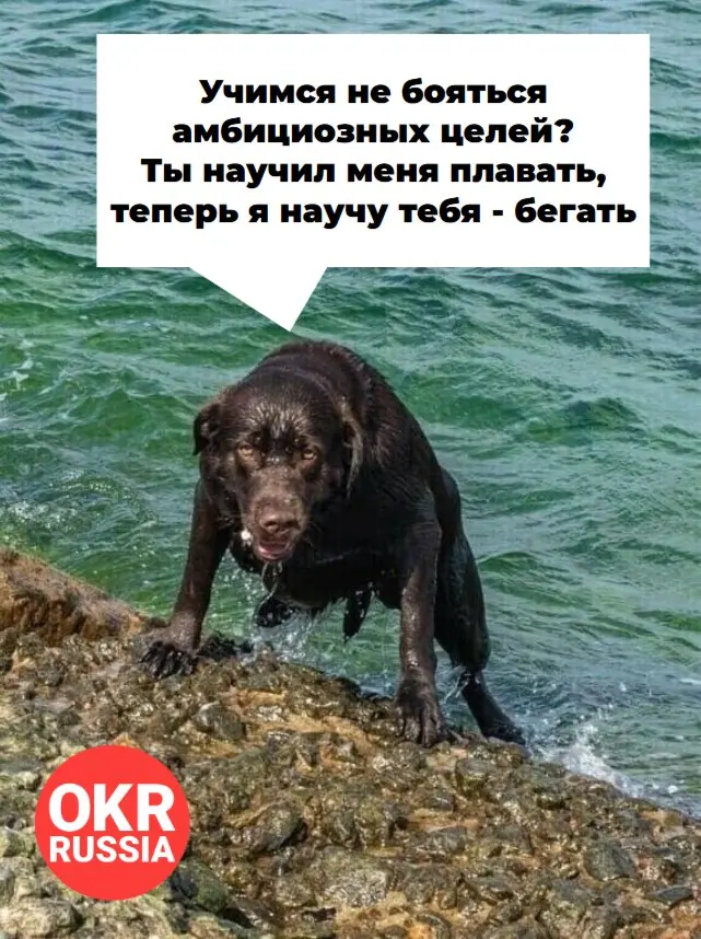 #okr #okrrussia #memes #мемы #юмор
OKR Russia: Telegram | MAX | Сетка.
В этом посте были ссылки, но мы их удалили по правилам Сетки | Сетка — социальная сеть от hh.ru