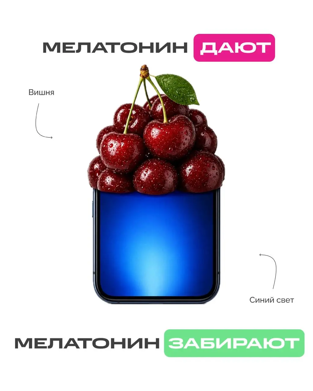 Мы — это то, что мы едим 🌾
Одни продукты отдают организму всё лучшее: минералы, железо, коллаген, витамин C.
Другие незаметно всё это забирают, как сахар, кофе, газировки | Сетка — социальная сеть от hh.ru