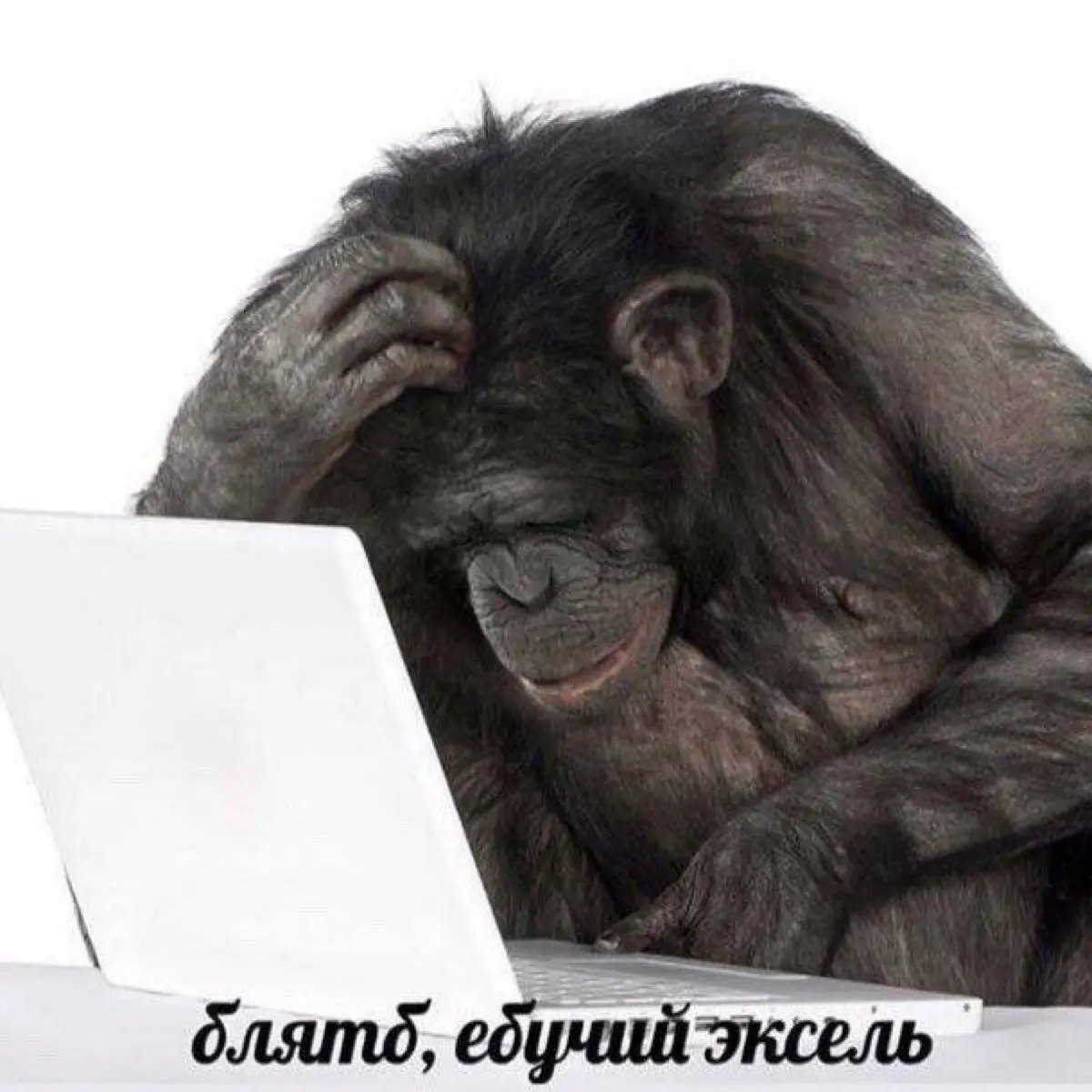 Фантастический хайринг и где таких нанимают