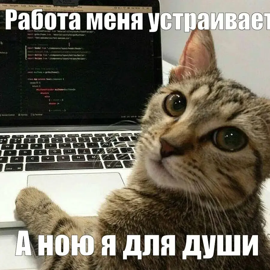 Привычки, которые я не афиширую, но соблюдаю | Сетка — социальная сеть от hh.ru