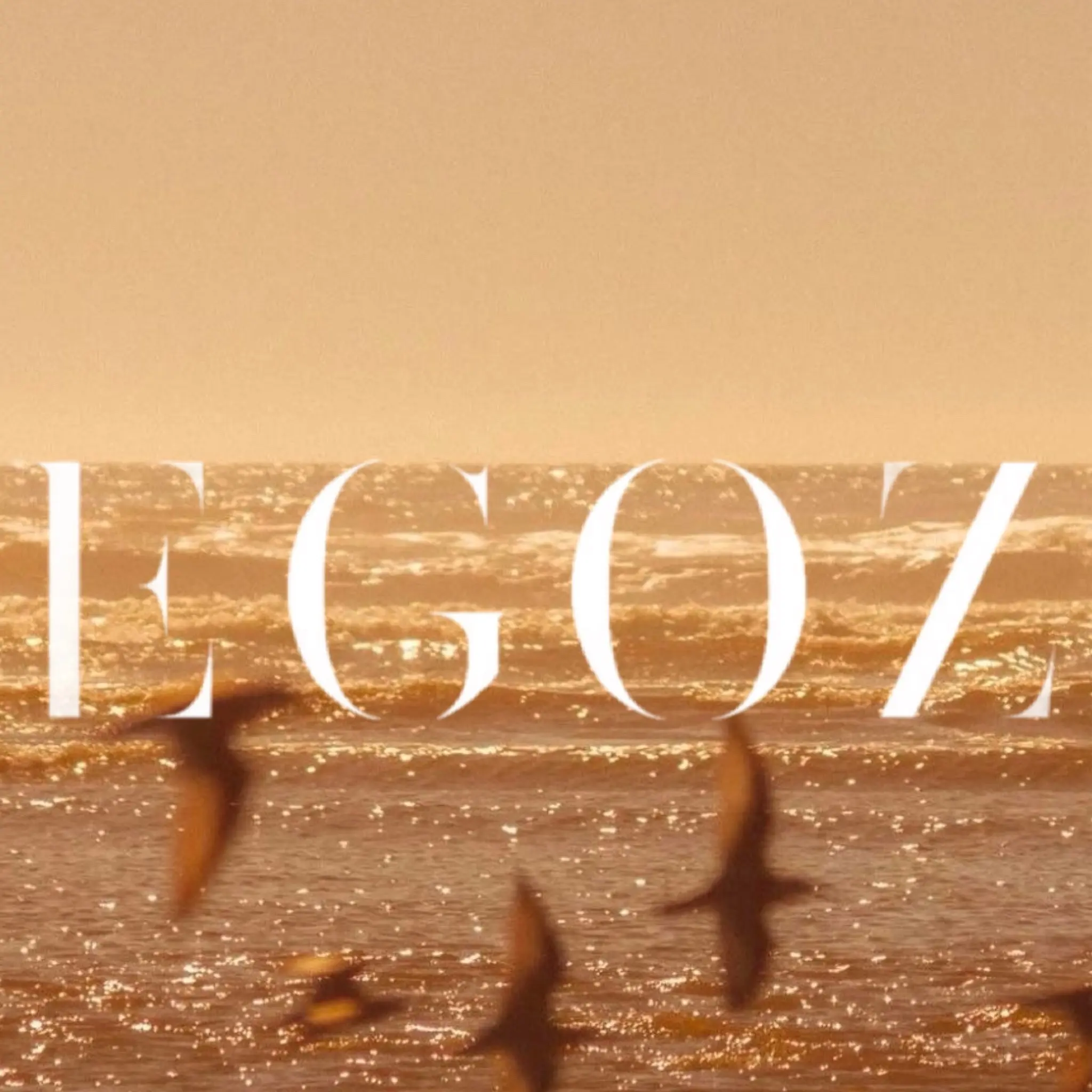EGOZ – третье агентство, которое я создала, но первое, которое я построила самостоятельно | Сетка — социальная сеть от hh.ru