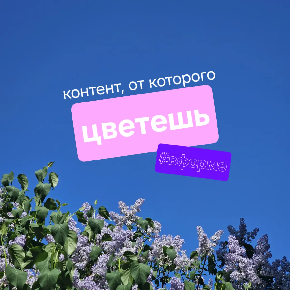 Помните заставку «Галилео»? | Сетка — социальная сеть от hh.ru