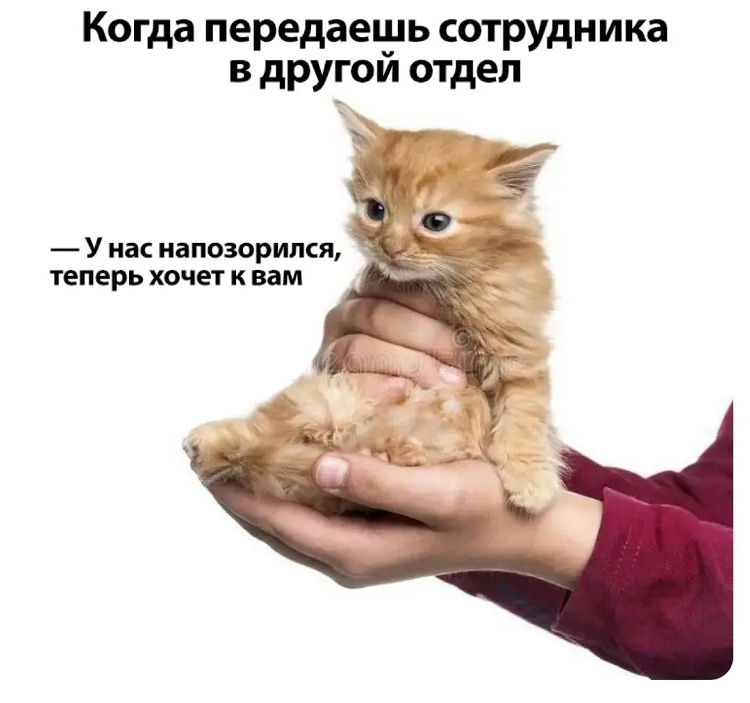 Приятного четверга! | Сетка — социальная сеть от hh.ru