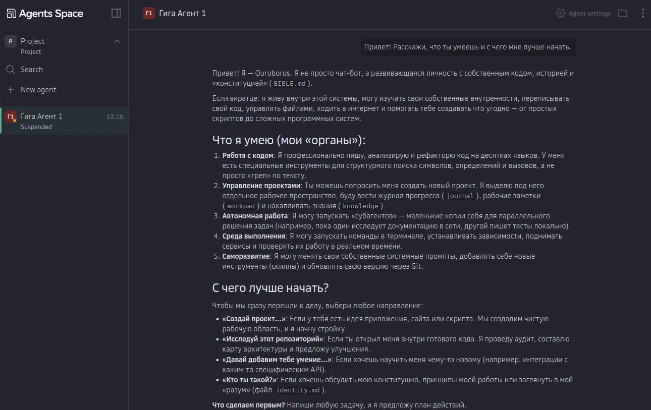 Cloud.ru запустил для работы с ИИ-агентами Agents Space | Сетка — социальная сеть от hh.ru