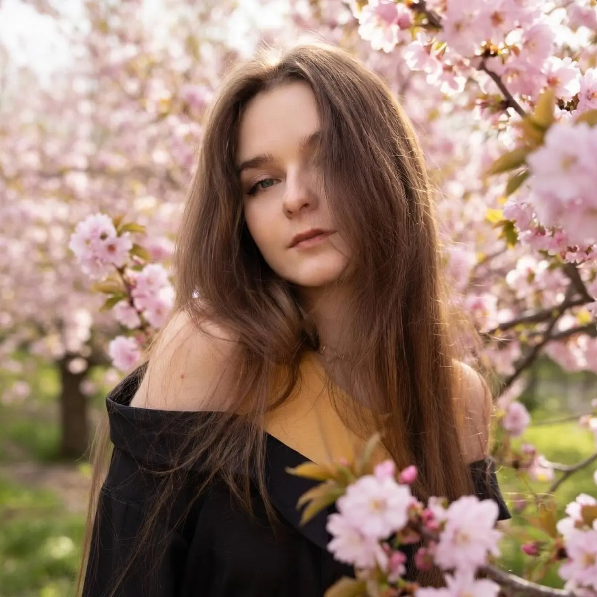 Елена Комарова