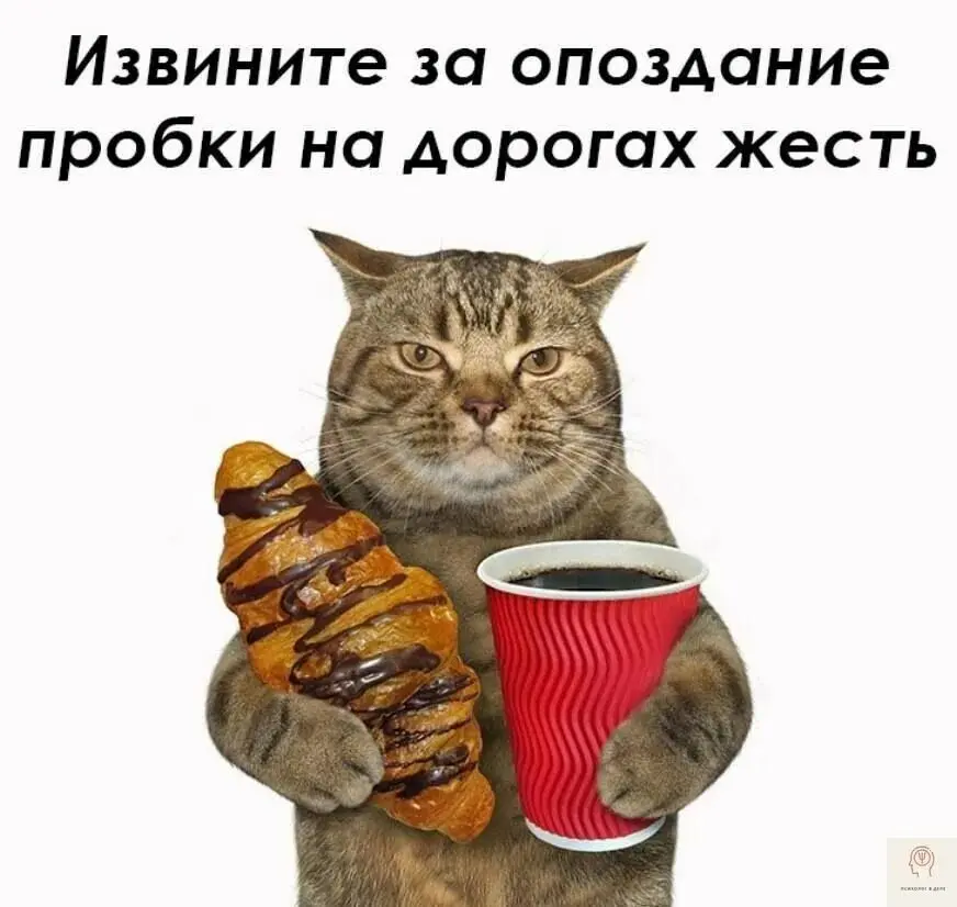 Ваши мои слабые стороны? 🤭😁 | Сетка — социальная сеть от hh.ru
